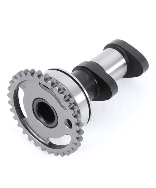 Hot Cams Camshaft 2