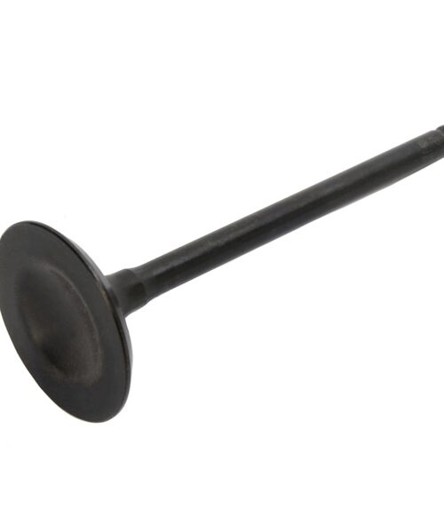 Hot Cams Exhaust Valve - Steel & titanium