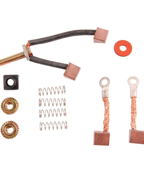 BRP Evinrude Brush and Spring Set 821052