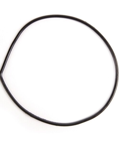 BRP Evinrude Seal Fits Johnson/Evinrude, Fits OMC - 821966