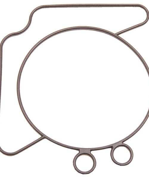 BRP Evinrude Carburetor Seal Fits Johnson/Evinrude, Fits OMC - 822026