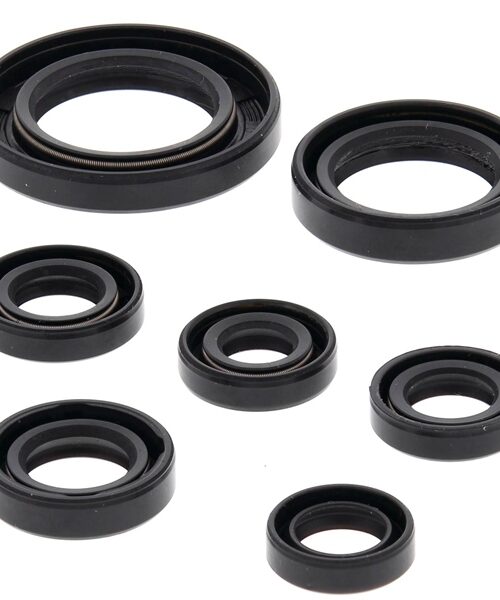 BRP Evinrude Needle Bearing