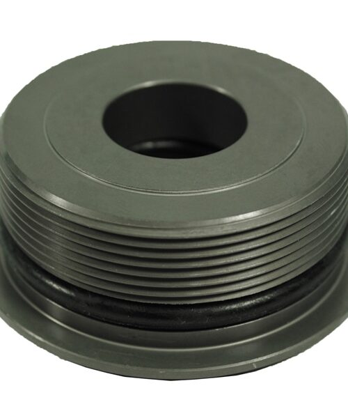 BRP Evinrude O-Ring & Cap