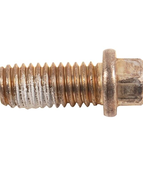 BRP Evinrude Screw