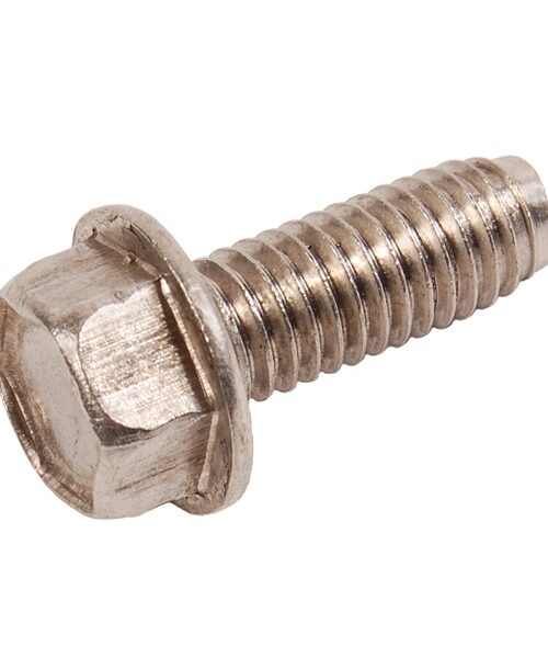 BRP Evinrude Anode Screw