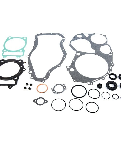 VertexWinderosa Complete Gasket Set with Oil Seals - 811 Fits Arctic cat - 059461