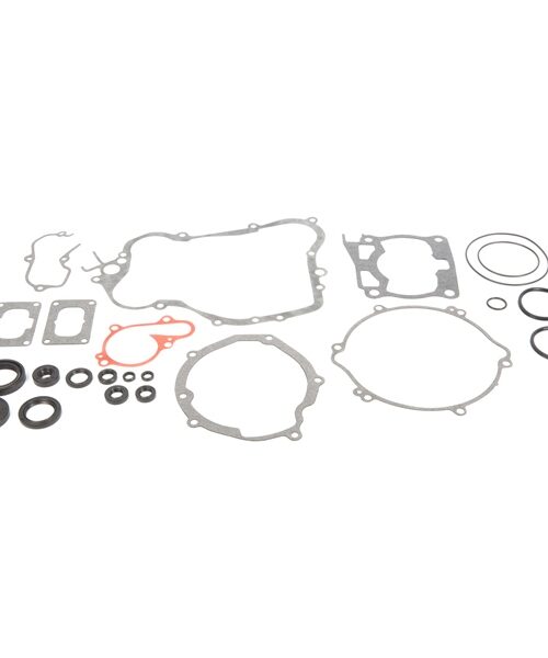 VertexWinderosa Complete Gasket Set with Oil Seals - 811 Fits Yamaha - 059641