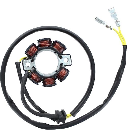 ElectroSport Stator Fits KTM - 151162