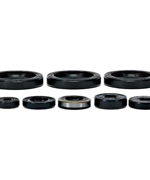 VertexWinderosa Oil Seal Sets Fits Kawasaki - 190200