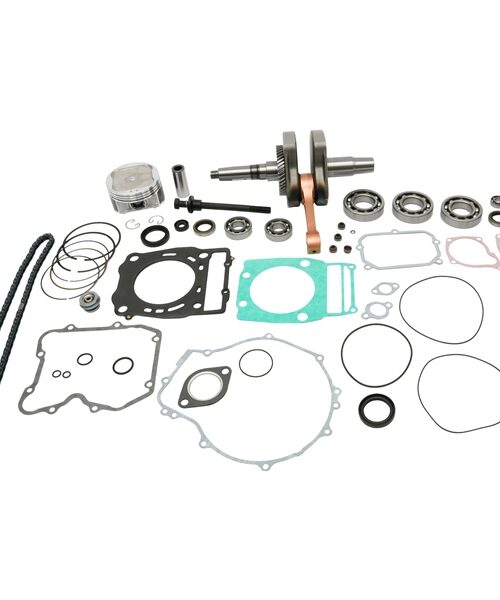 VertexWinderosa Complete Engine Kit Fits Polaris