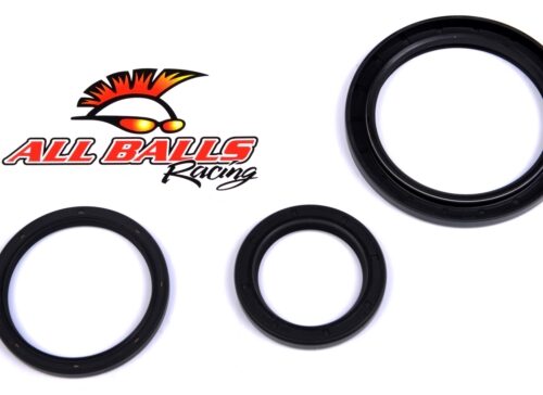 All Balls Differential Seal Kit Fits Yamaha