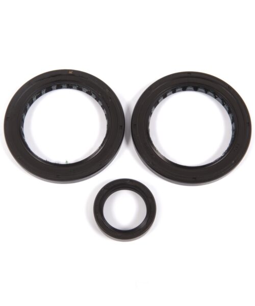 All Balls Differential Seal Kit Fits Polaris