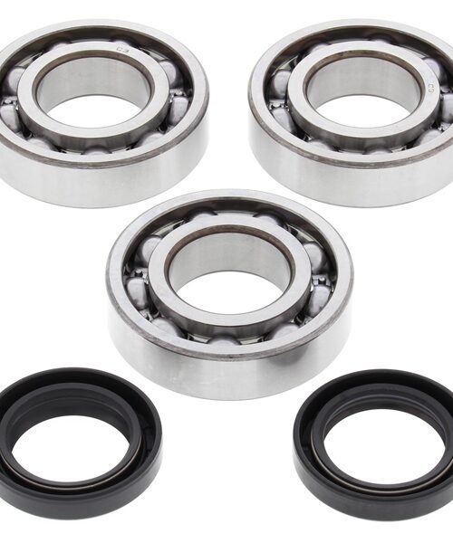 All Balls Crankshaft Bearing and Seal Kit Fits Polaris - ATV