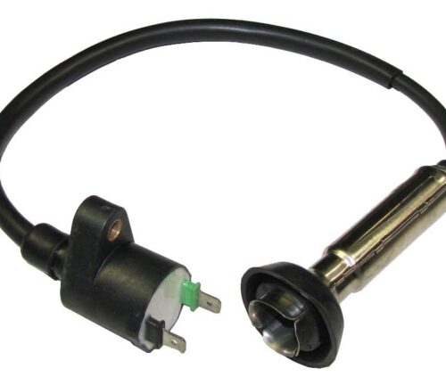 Outside Distributing External Ignition Coil 217486