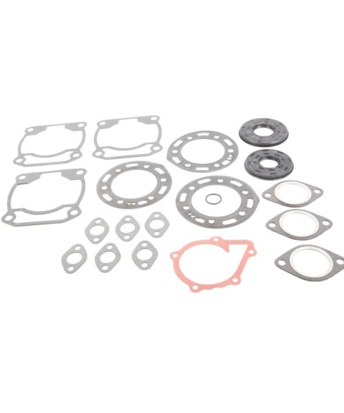 VertexWinderosa Professional Complete Gasket Sets with Oil Seals Fits Polaris - 09-711192