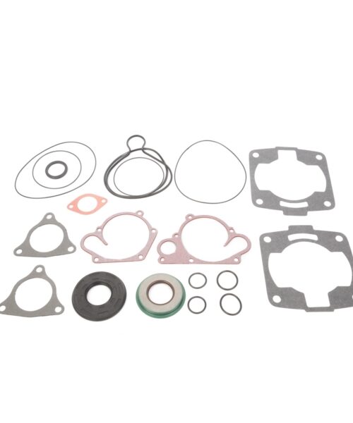 VertexWinderosa Professional Complete Gasket Sets with Oil Seals Fits Polaris - 09-711230