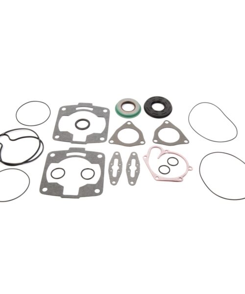 VertexWinderosa Professional Complete Gasket Sets with Oil Seals Fits Polaris - 09-711265