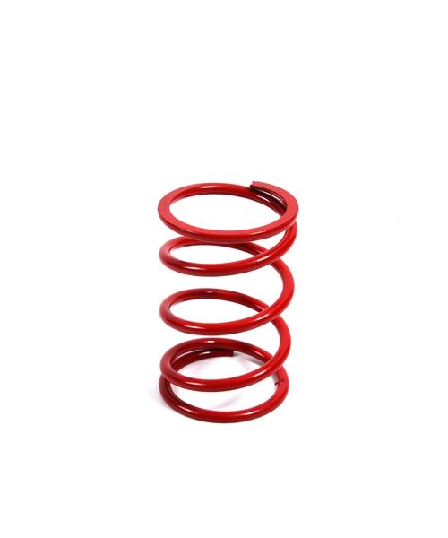 EPI Primary Clutch Spring (Drive)