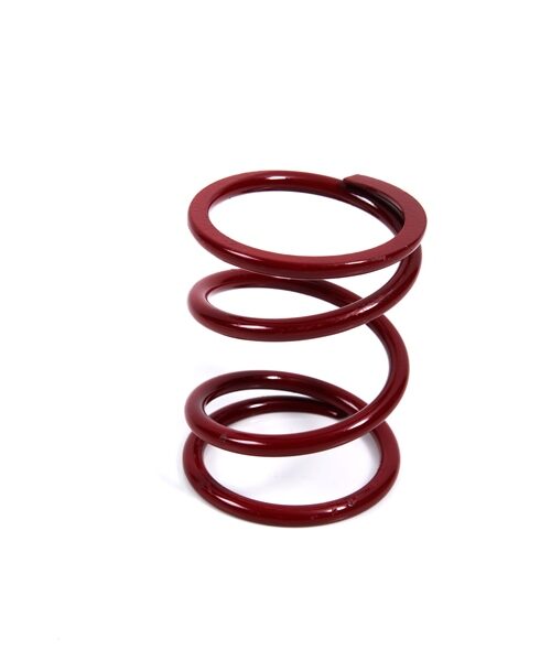 EPI Primary Clutch Spring (Drive)
