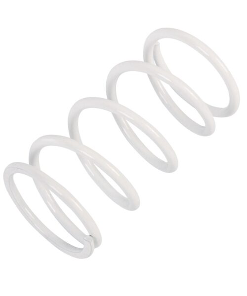 EPI Primary Clutch Spring (Drive)
