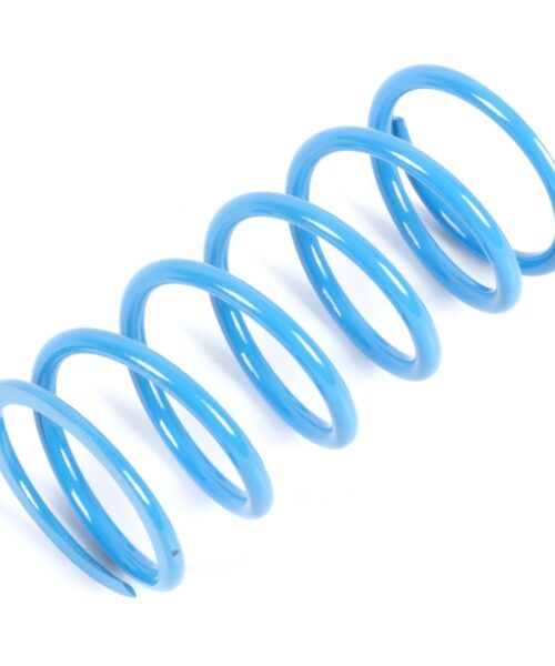 EPI Primary Clutch Spring (Drive)