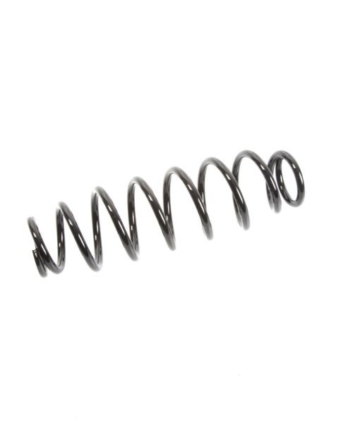 EPI Suspension Spring