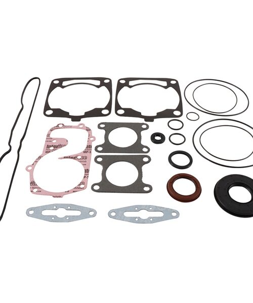 VertexWinderosa Professional Complete Gasket Sets with Oil Seals Fits Polaris - 304799