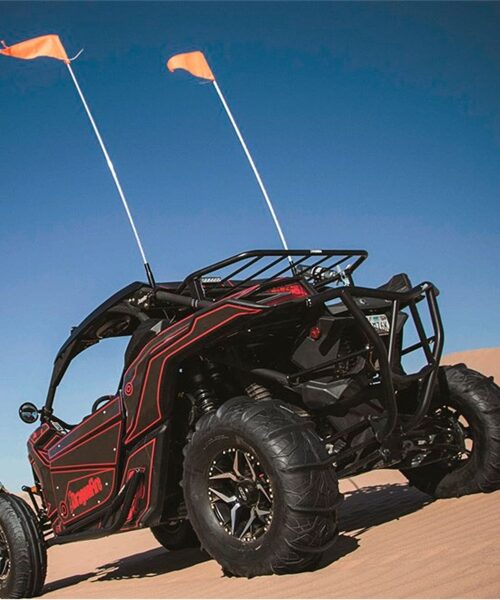 Dragon Fire Racing Remote-controlled LED Lighted Whip