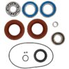 All Balls Differential Seal Kit Fits Arctic cat - Image 2