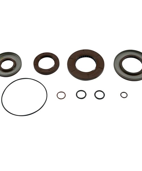 All Balls Differential Seal Kit Fits Polaris