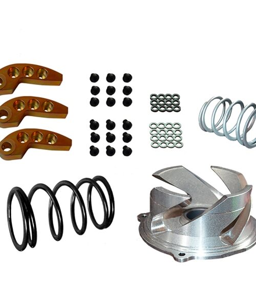 Straightline Clutch Kit with Adjustable Weight Fits Polaris - Steel