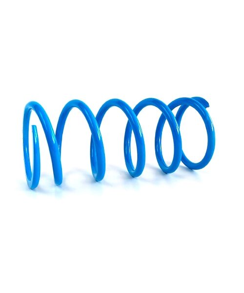 EPI Primary Clutch Spring (Drive)