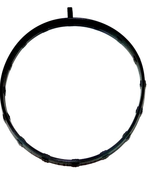 WSM Engine Gasket Top End Kit 796538