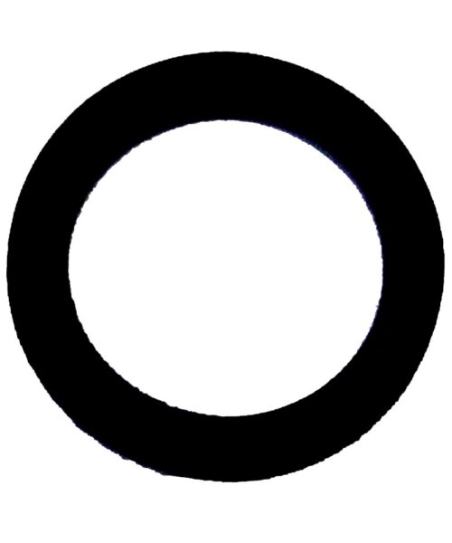 WSM O-Ring