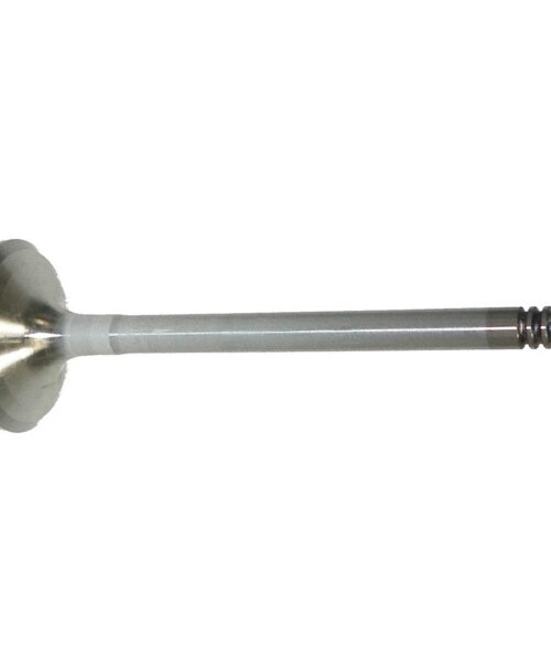 WSM Exhaust Valve
