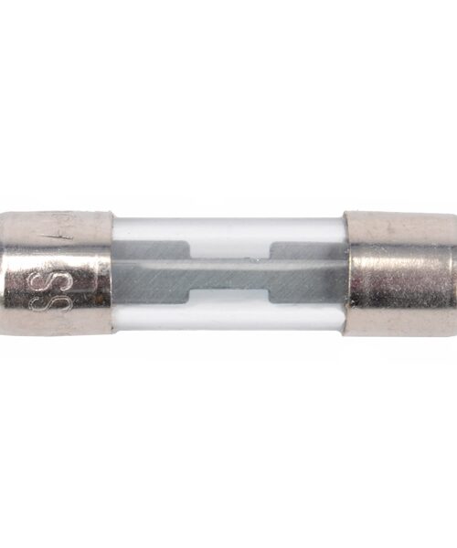 BRP Evinrude Fuse