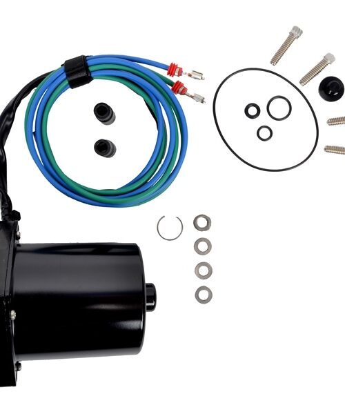 BRP Evinrude Motor and O-Ring Kit