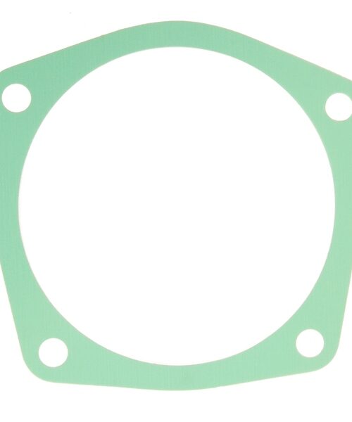 BRP Evinrude Shim Bearing