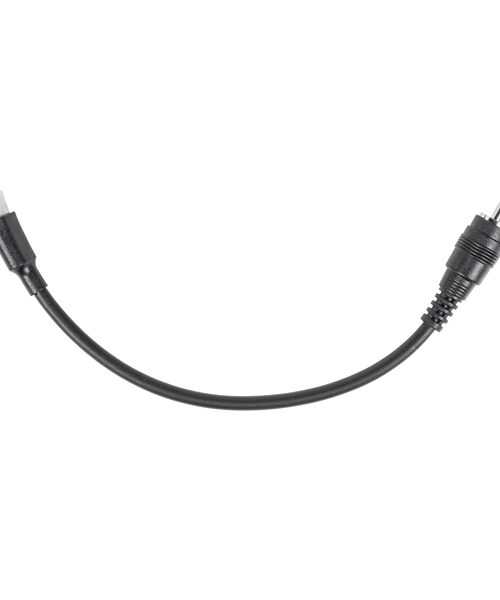 CKX Apex USB-C to RCA Cable